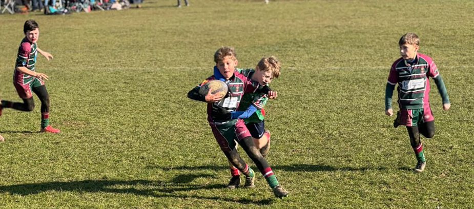 Spring Minis Rugby Festival